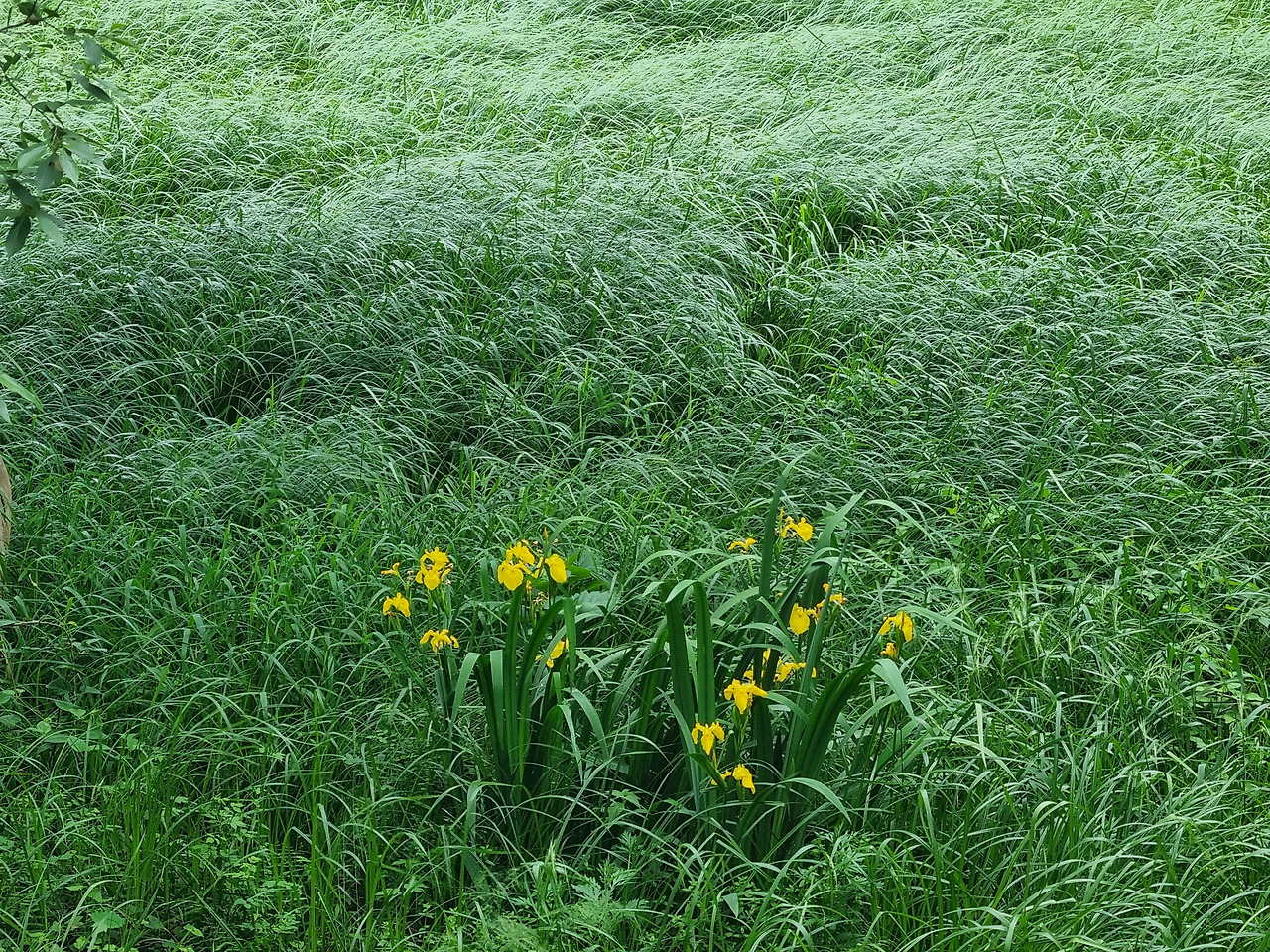 피정하라 동중정의 세계로.jpg
