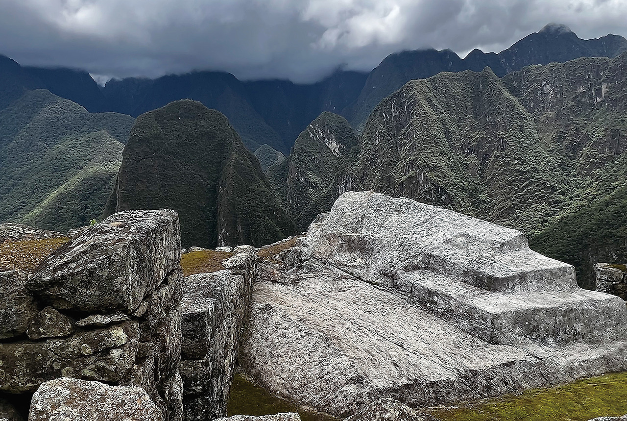 콘도르 퓨마 뱀.jpg