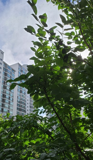 화면 캡처 2022-07-14 075943.jpg