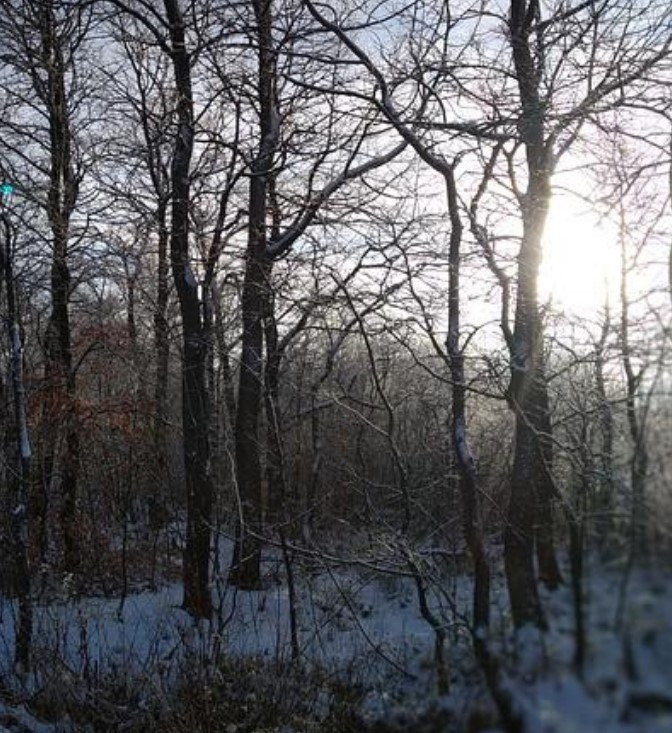 화면 캡처 2022-07-22 173412.jpg