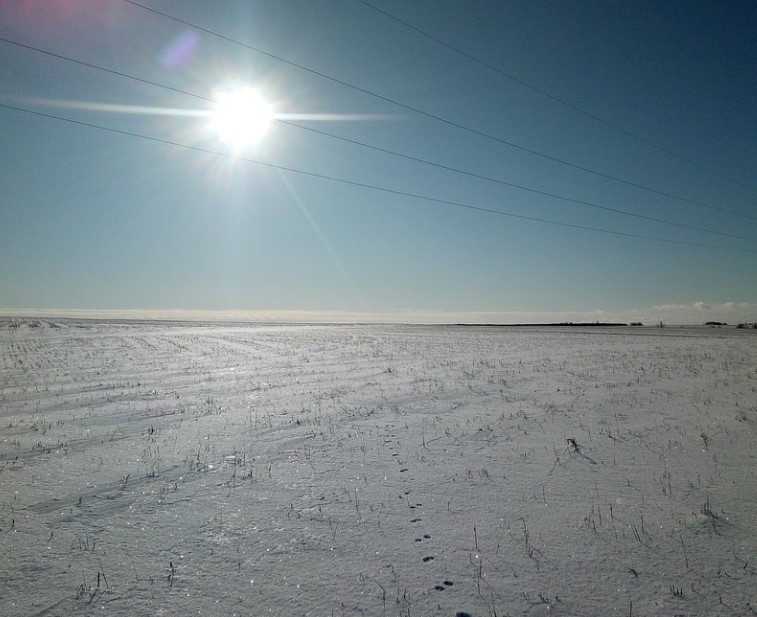 화면 캡처 2022-07-22 171929.jpg