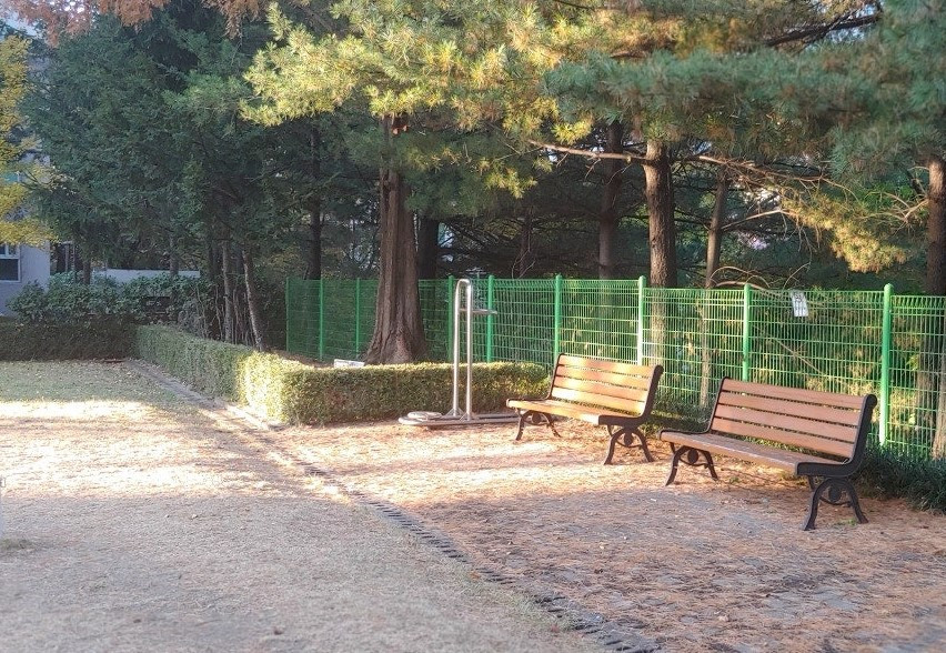 내면의 외침.jpg