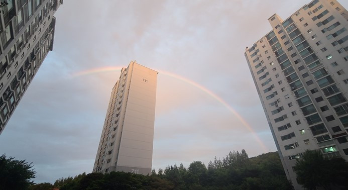 무지개2.jpg