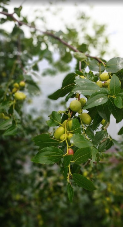 삶을 이어가다.jpg