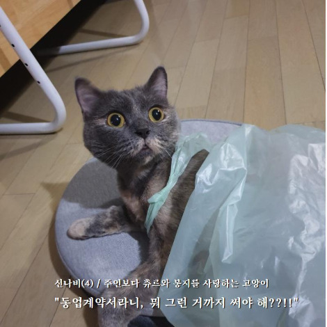 법무법인어진_대표이미지 - 2020-10-22T171151.152.jpg