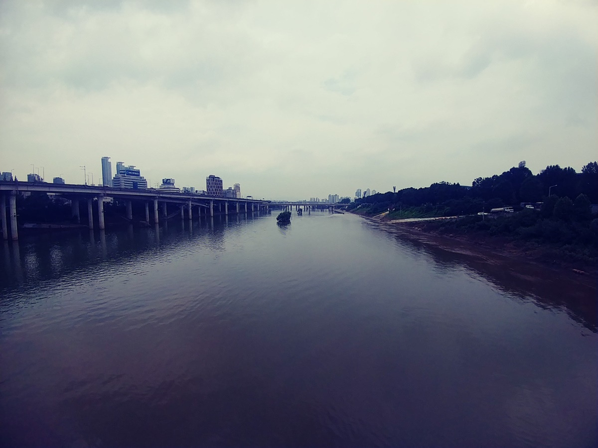 05.탄천 홍수.jpg