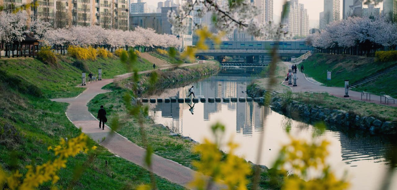 03_3.하천 사진.jpg