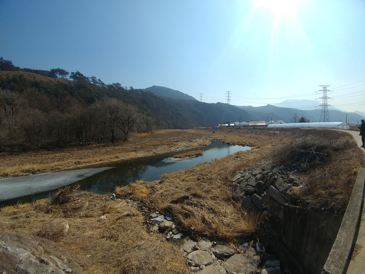 02_2 대화 .No.41 하류 전경.jpg