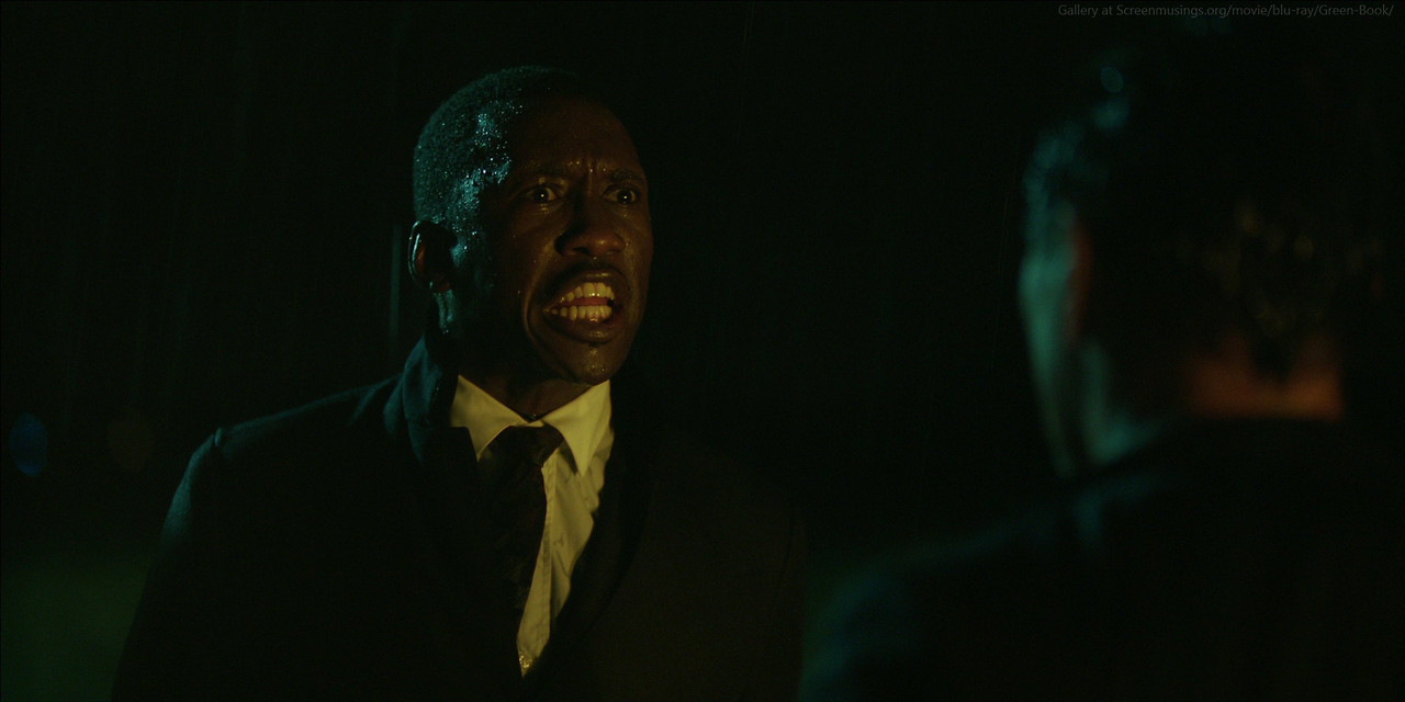 Green-Book-557.jpg