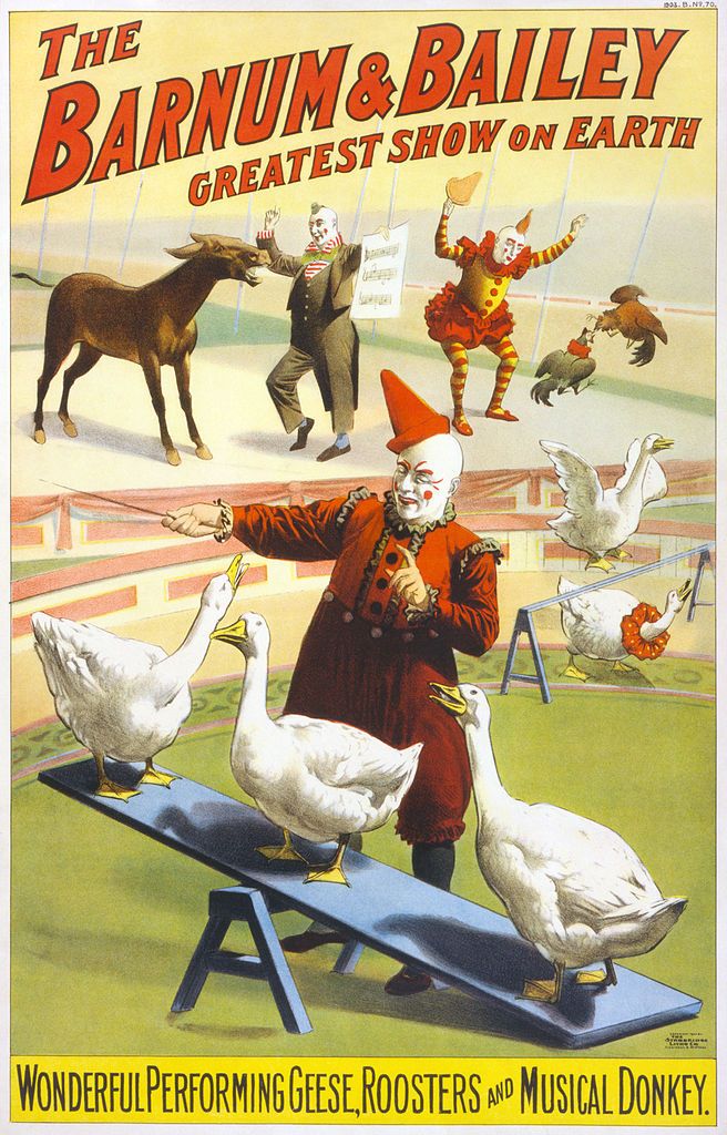656px-barnum__bailey_clowns_and_geese2.jpg