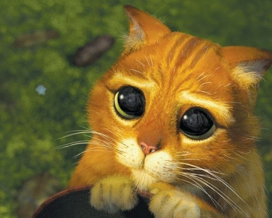 wkdghktlsdms rhdiddl.jpg