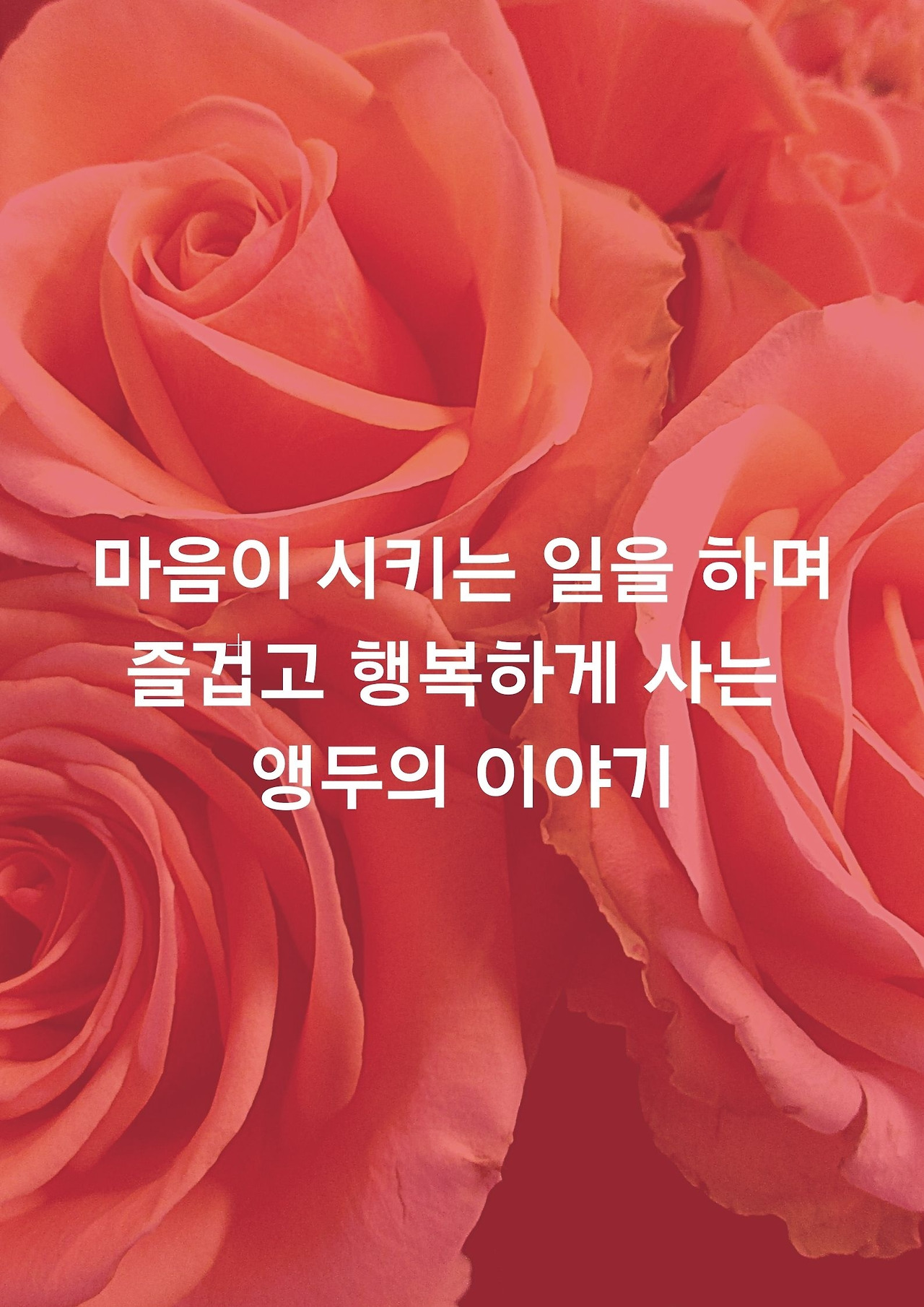 마음이 시키는 일을 하며 즐겁고 행복하게 사는 앵두의 이야기.jpg