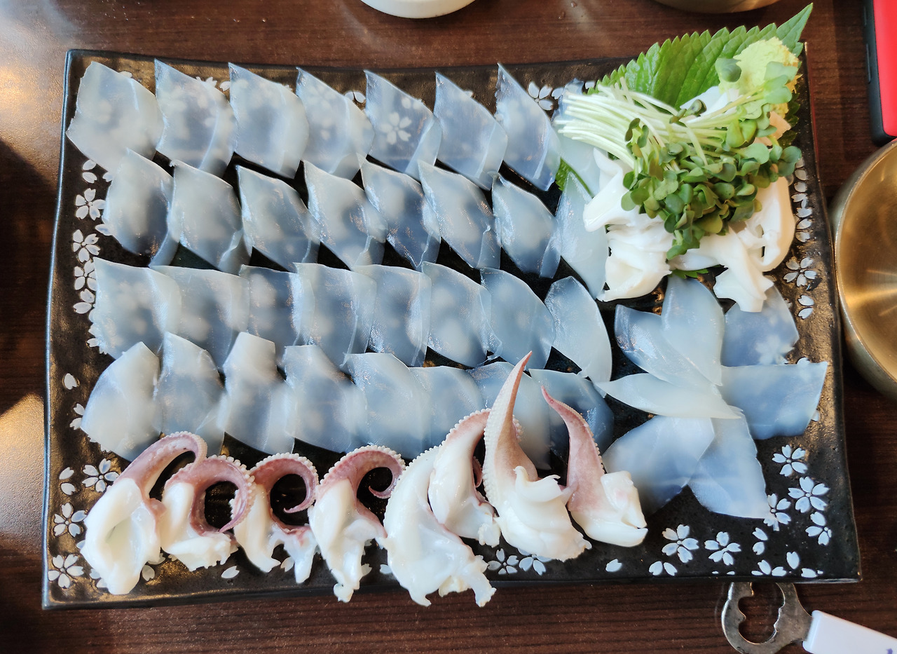 오징어 풍경 오징어회.jpg