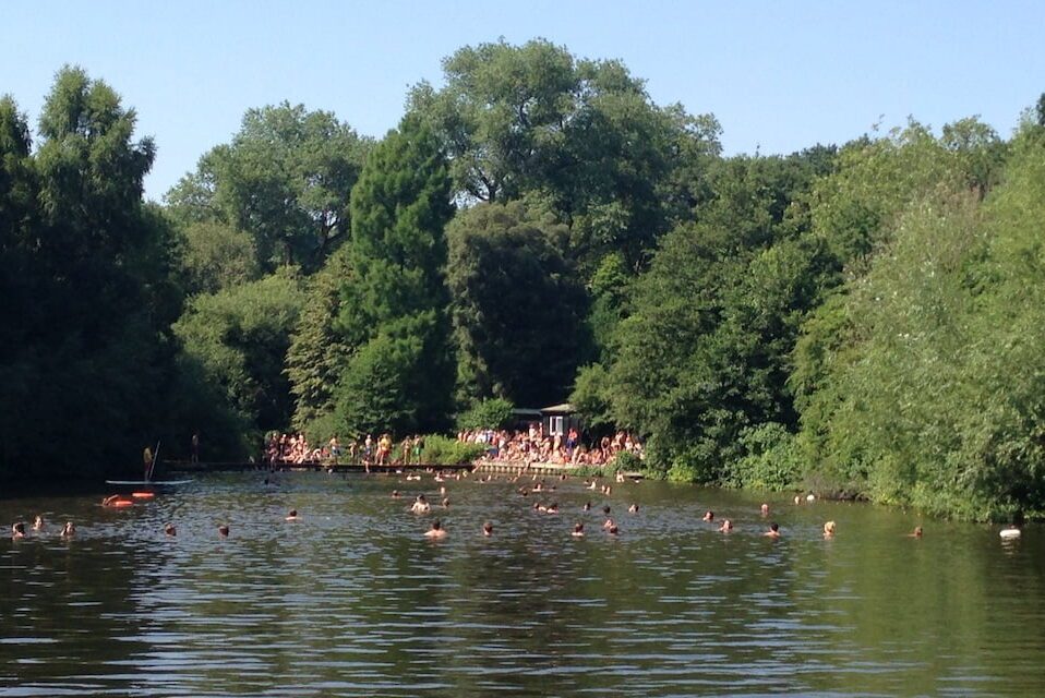 hampstead-heath-ponds-e1731853474852.jpg