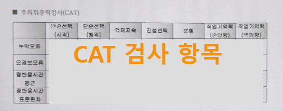 성인CAT검사 결과.jpg