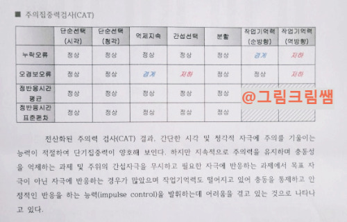 성인CAT검사 결과.jpg