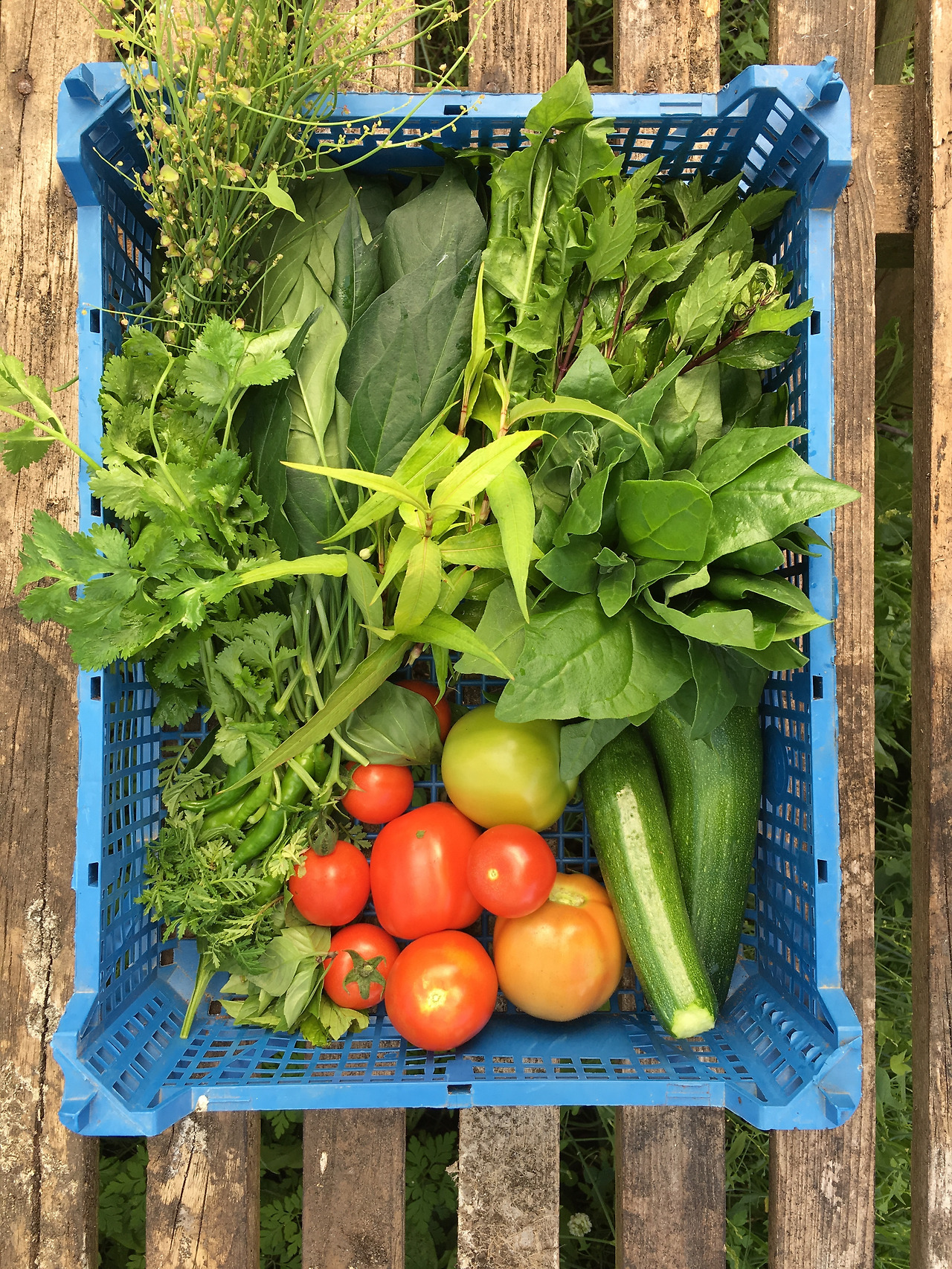 사진 2019. 8. 21. 오후 8 48 47.jpg