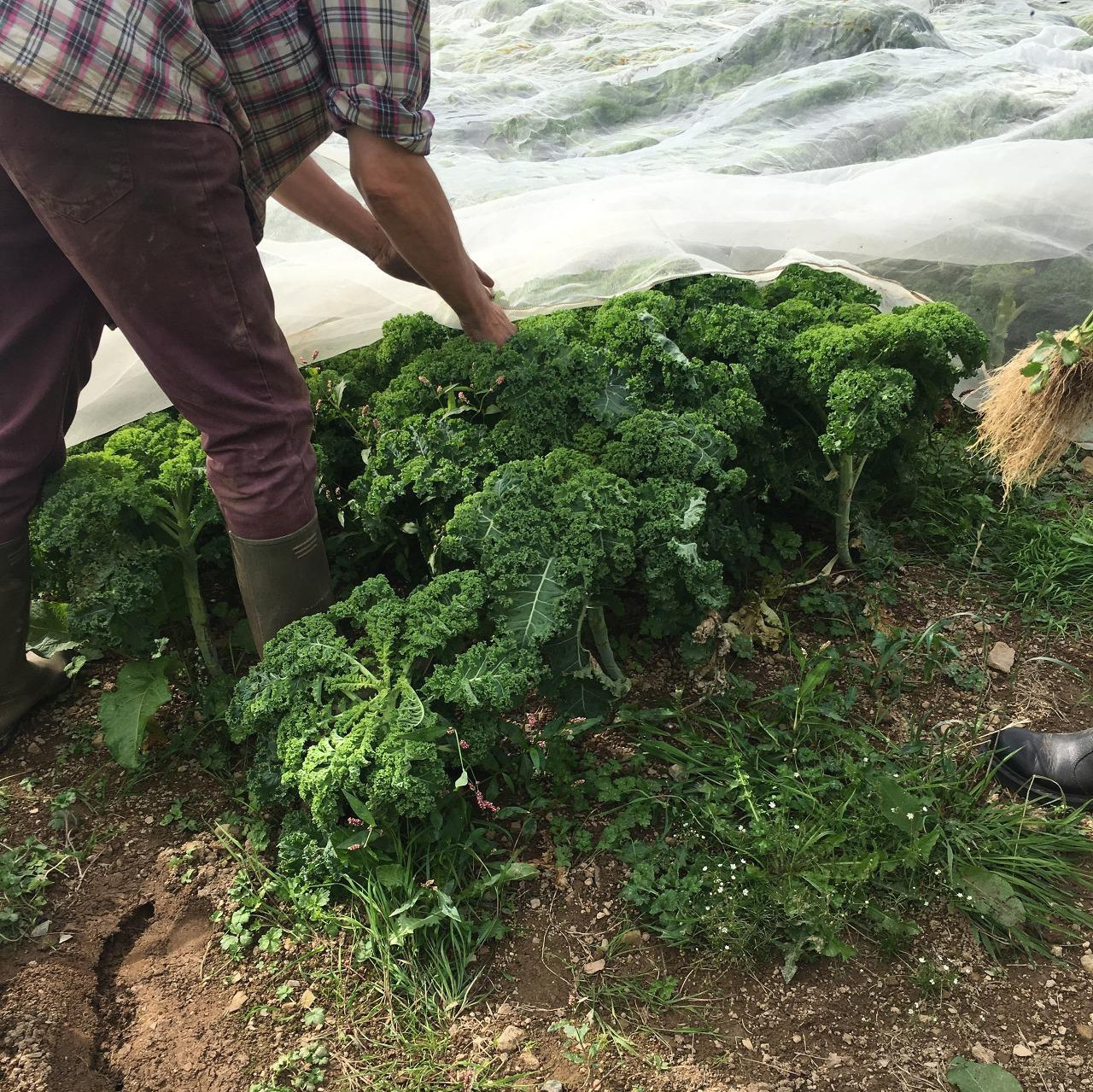 사진 2019. 8. 21. 오전 12 00 15.jpg