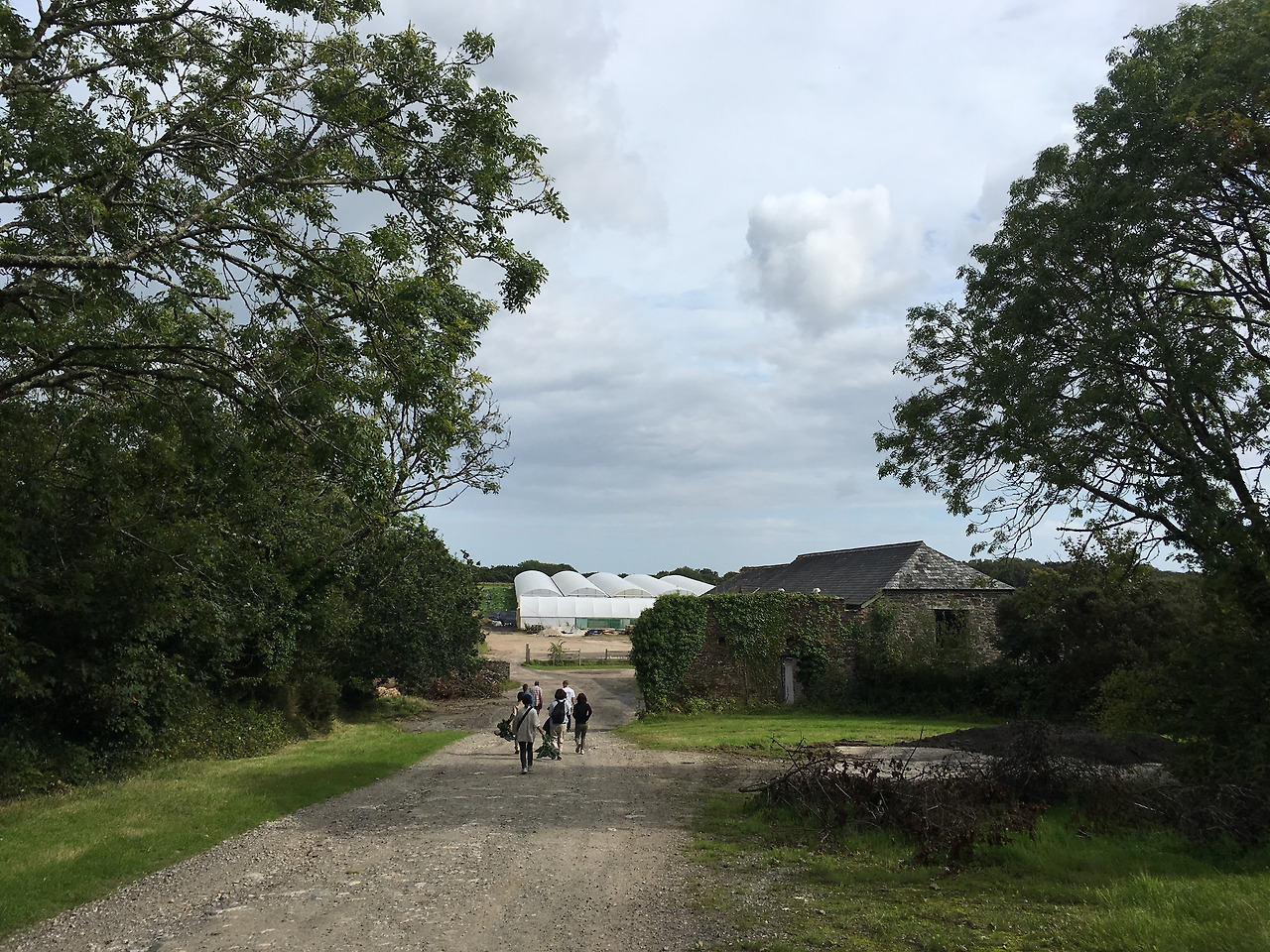 사진 2019. 8. 21. 오전 12 14 47.jpg