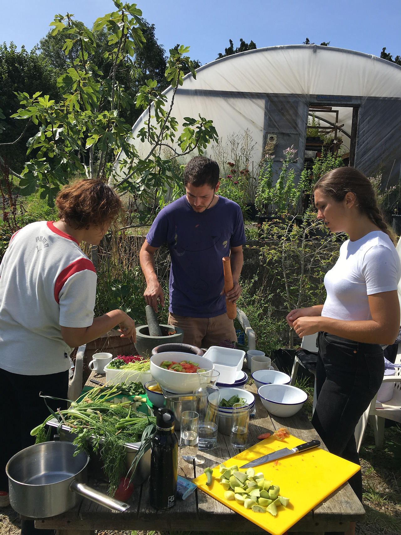 사진 2019. 8. 21. 오후 9 46 07.jpg