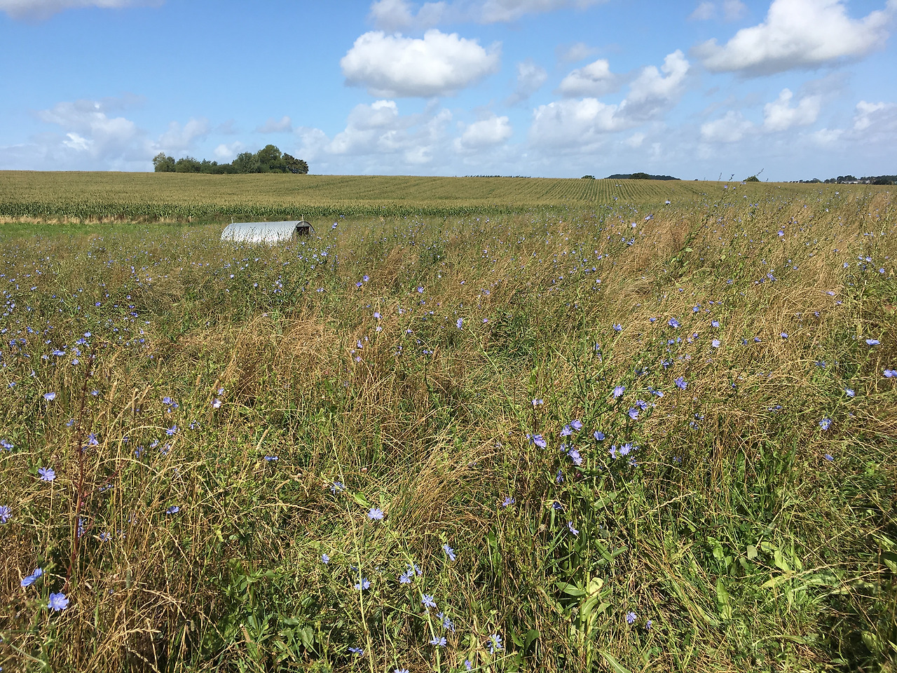 사진 2019. 8. 20. 오후 7 25 37.jpg