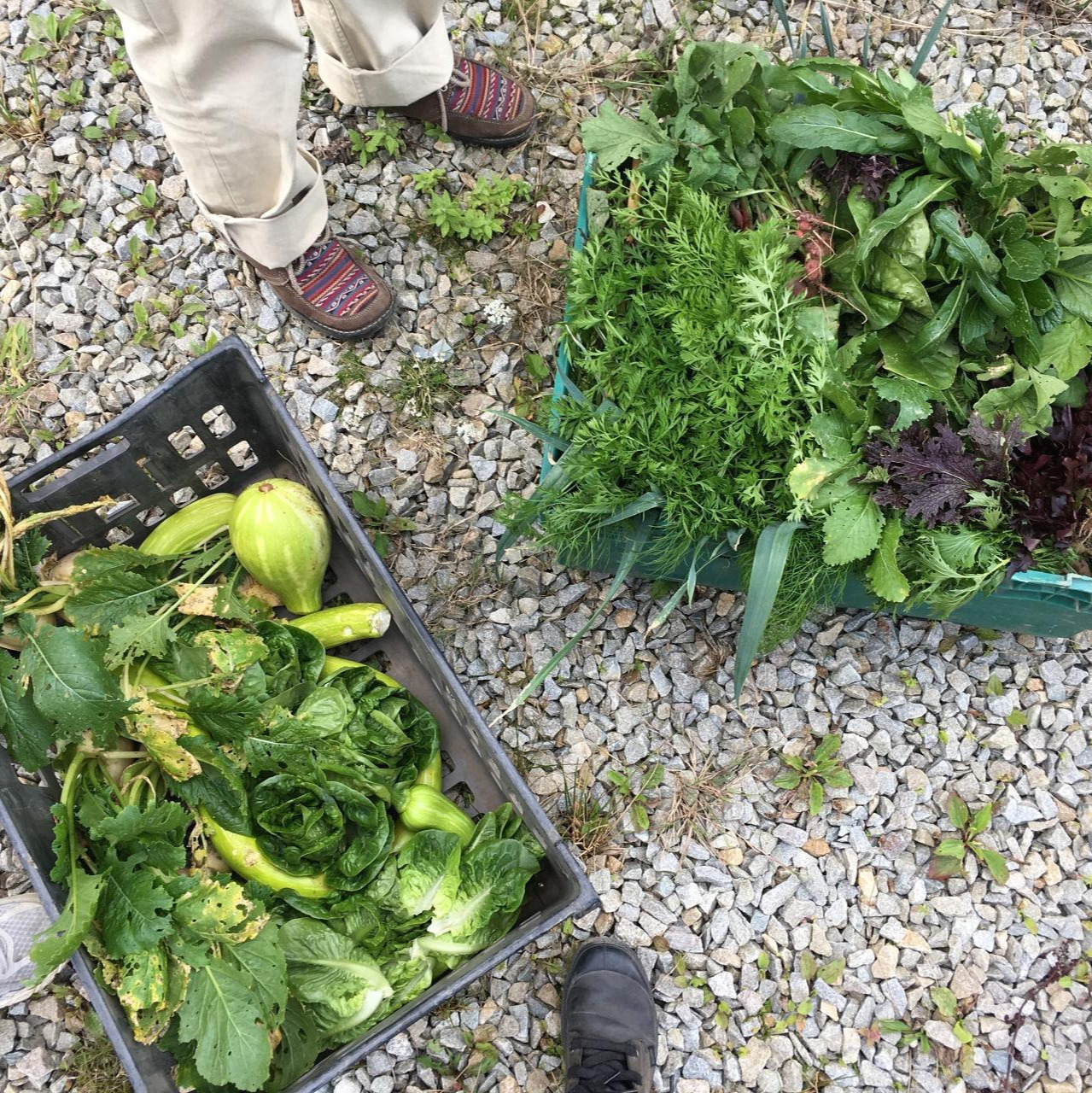 사진 2019. 8. 21. 오전 1 12 19.jpg