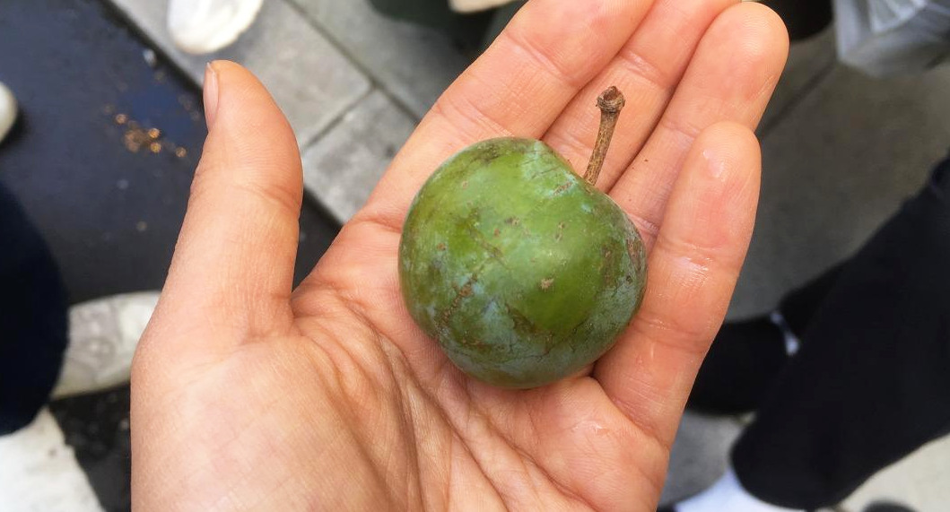 사진 2019. 8. 18. 오후 9 42 17.jpg