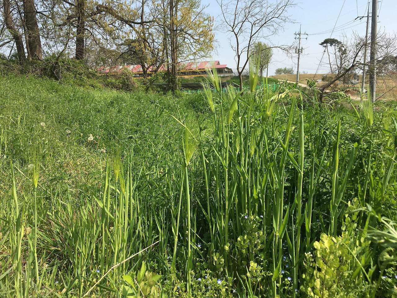 사진 2021. 4. 20. 오후 2 45 21.jpg