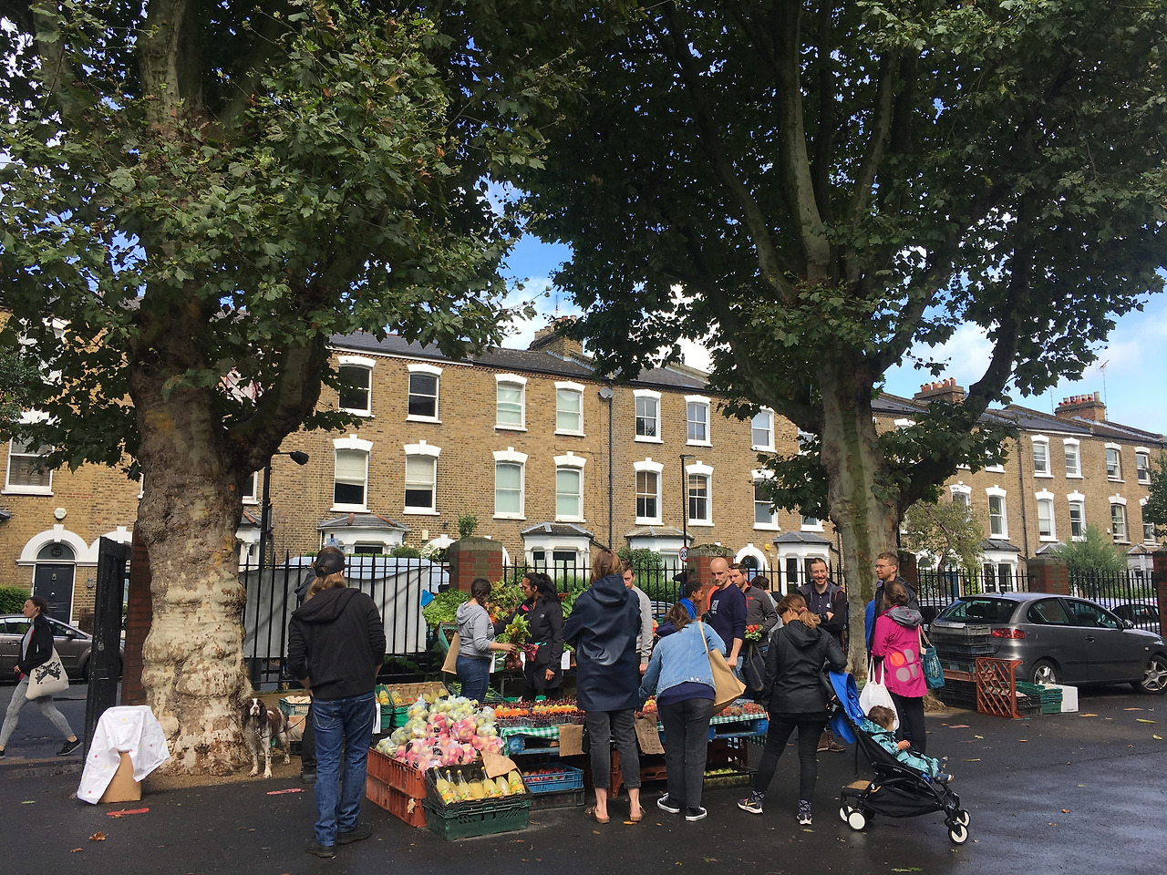 사진 2019. 8. 18. 오후 7 51 46.jpg