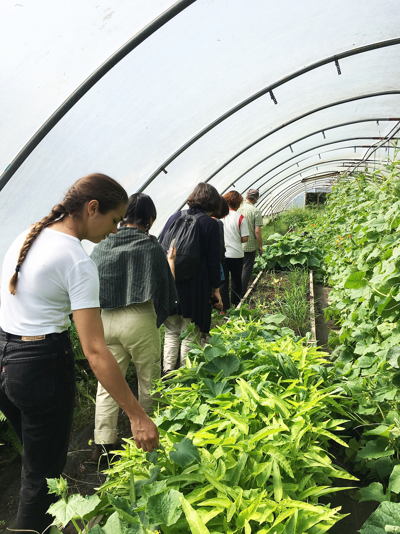 사진 2019. 8. 21. 오후 8 02 57.jpg