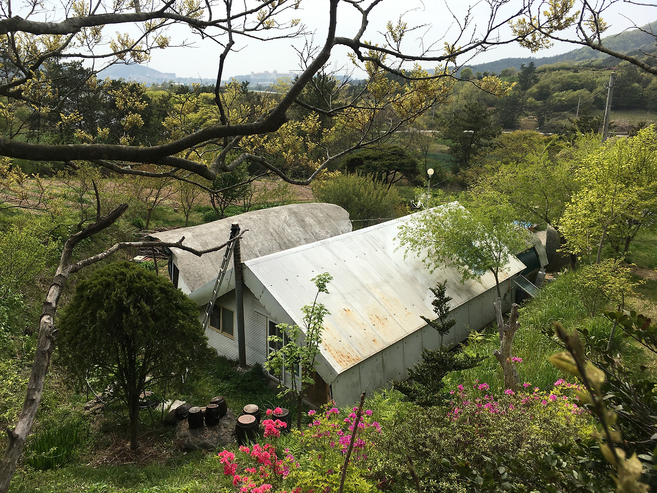 사진 2021. 4. 21. 오후 2 22 11.jpg