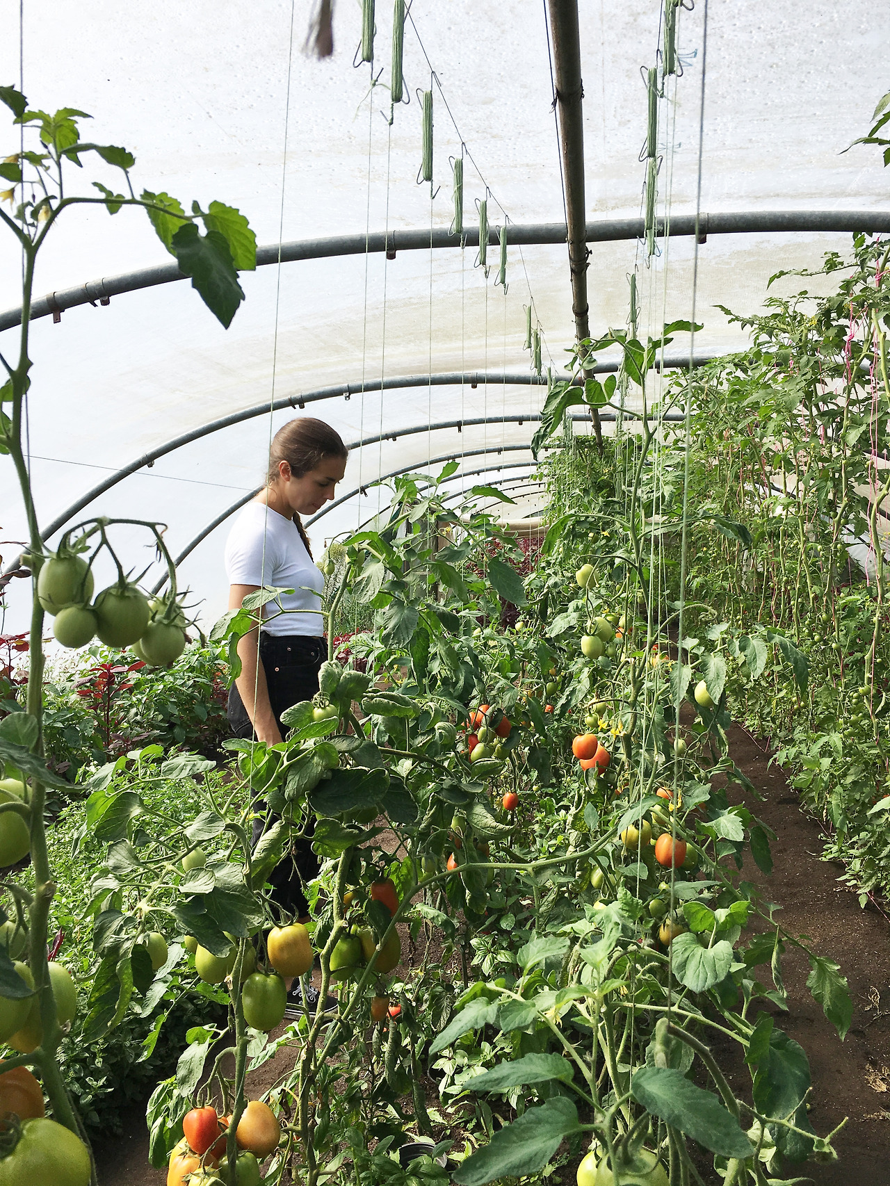 사진 2019. 8. 21. 오후 8 32 36.jpg