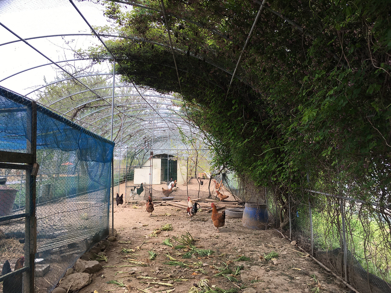 사진 2021. 4. 21. 오후 2 26 22.jpg