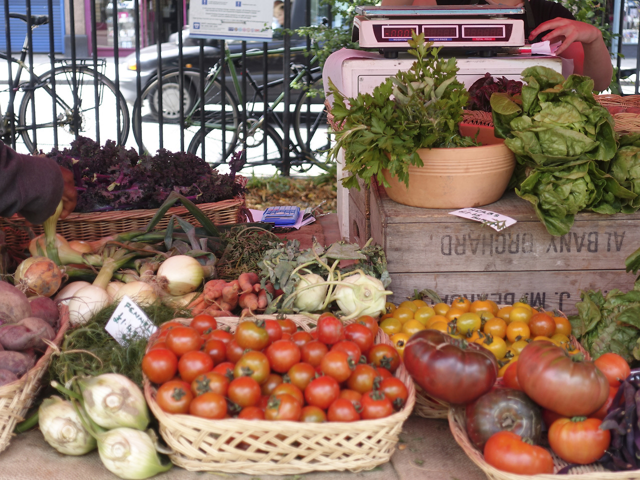 190817_132 은송.jpg