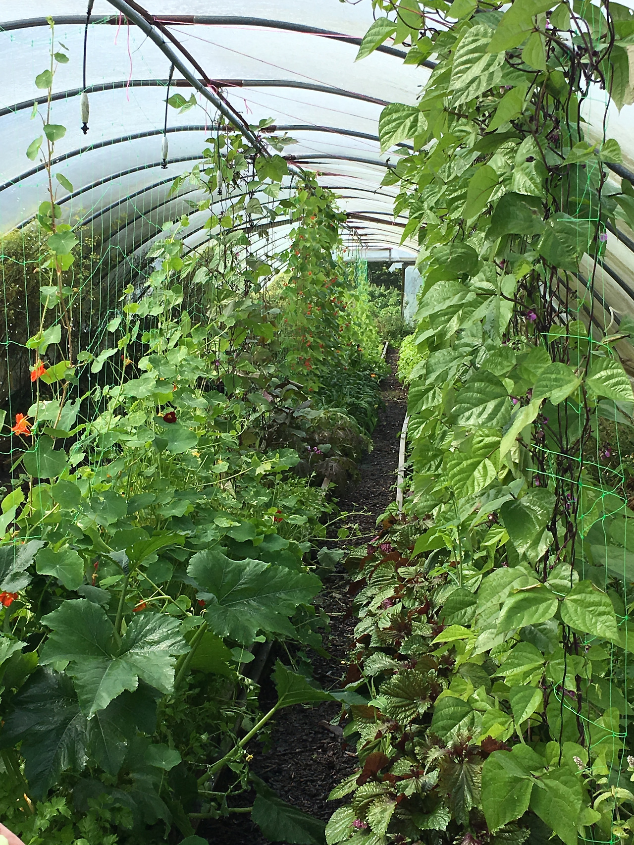 사진 2019. 8. 21. 오후 8 07 31.jpg