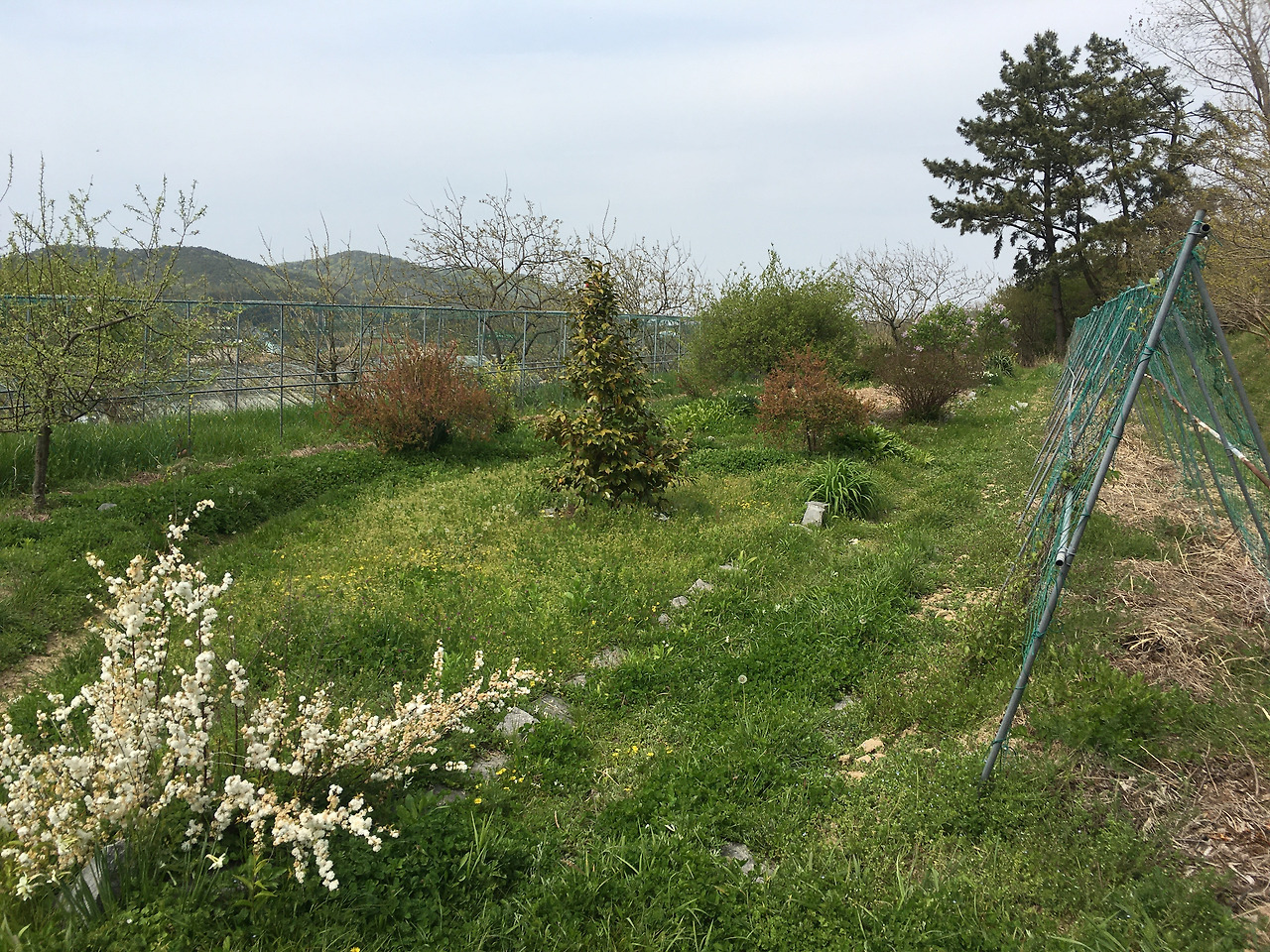 사진 2021. 4. 21. 오후 2 21 59.jpg