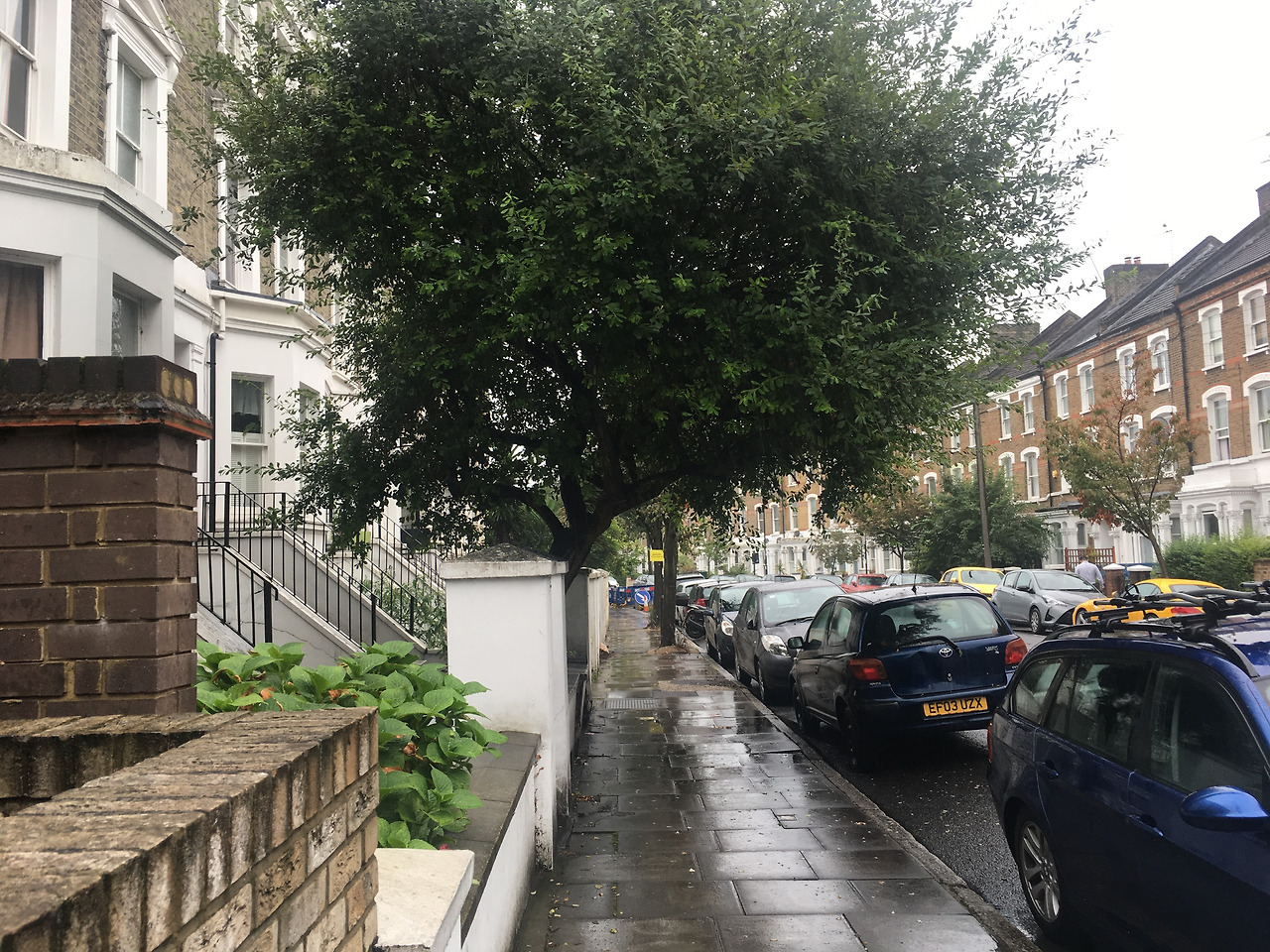 사진 2019. 8. 15. 오전 1 56 28.jpg