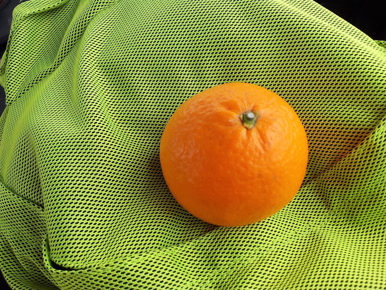 2012-04-24 15.09.48.jpg