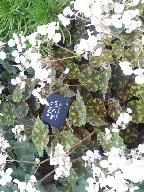 2012-04-01 10.36.53.jpg