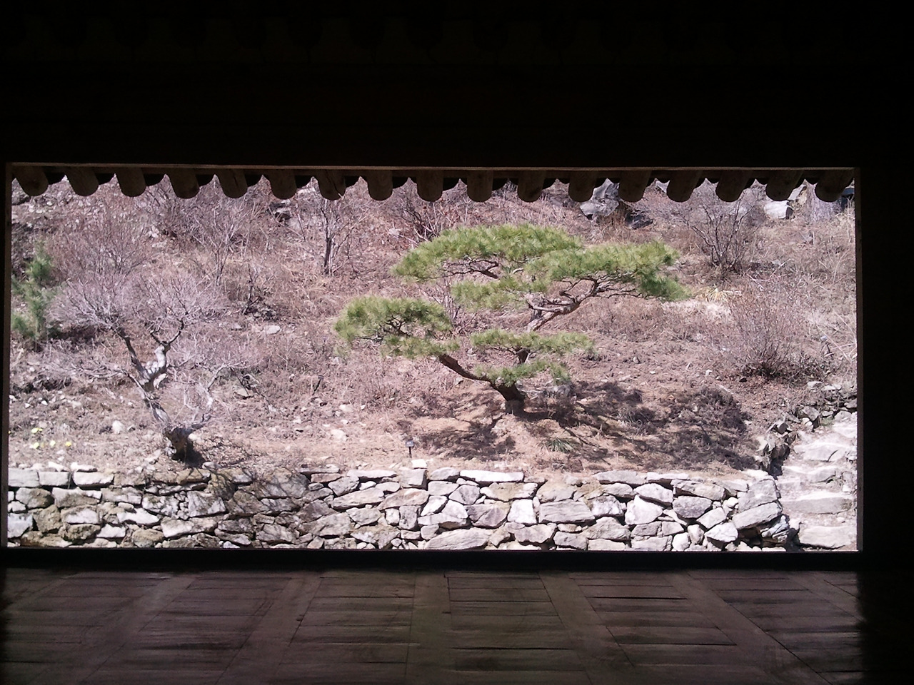 2012-04-01 11.02.43.jpg