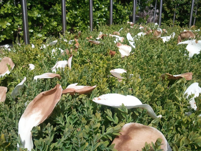 2012-04-15 14.38.15.jpg