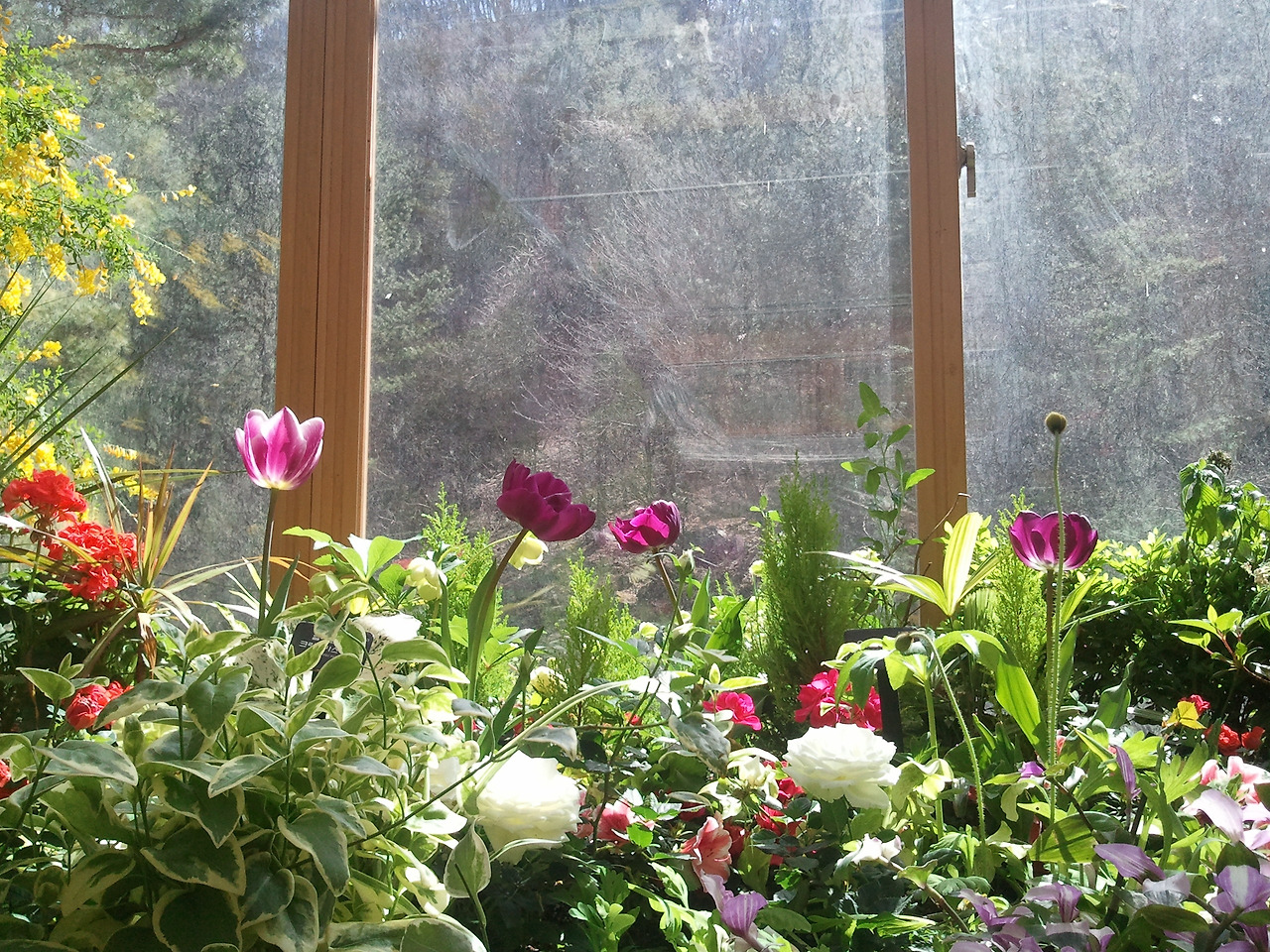 2012-04-01 10.37.55.jpg