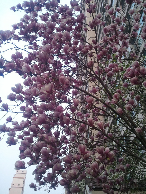 2012-04-16 06.31.45.jpg