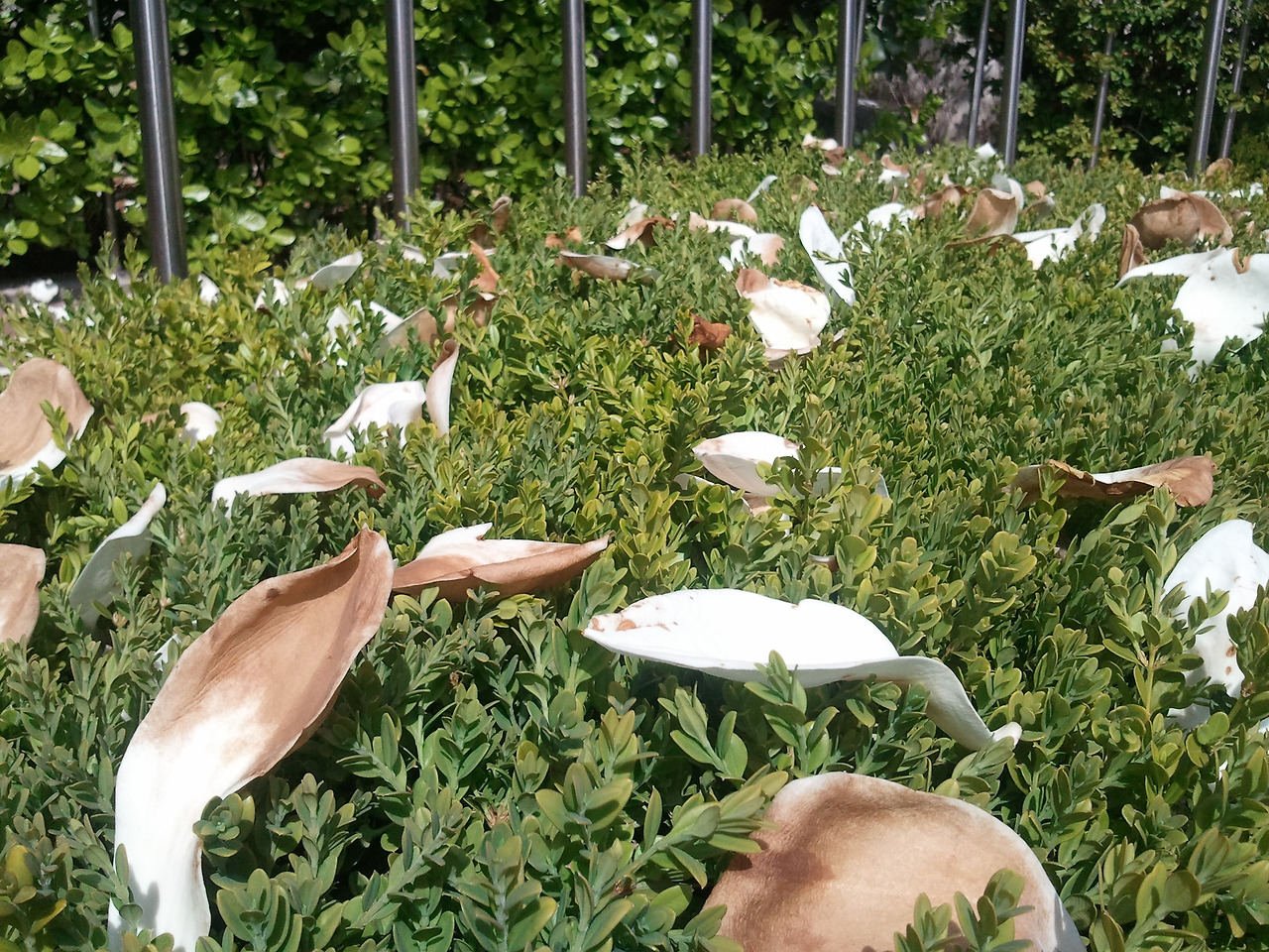 2012-04-15 14.38.15.jpg