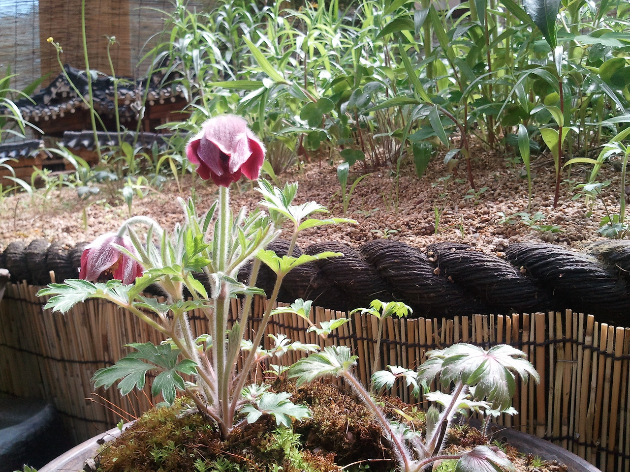 2012-04-01 11.19.59.jpg