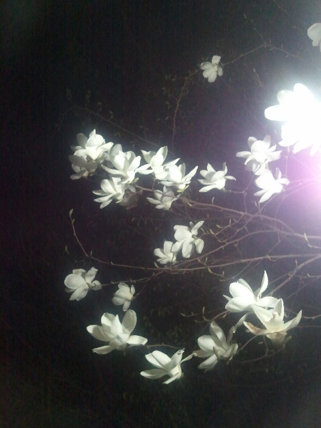 2012-04-15 20.59.25.jpg