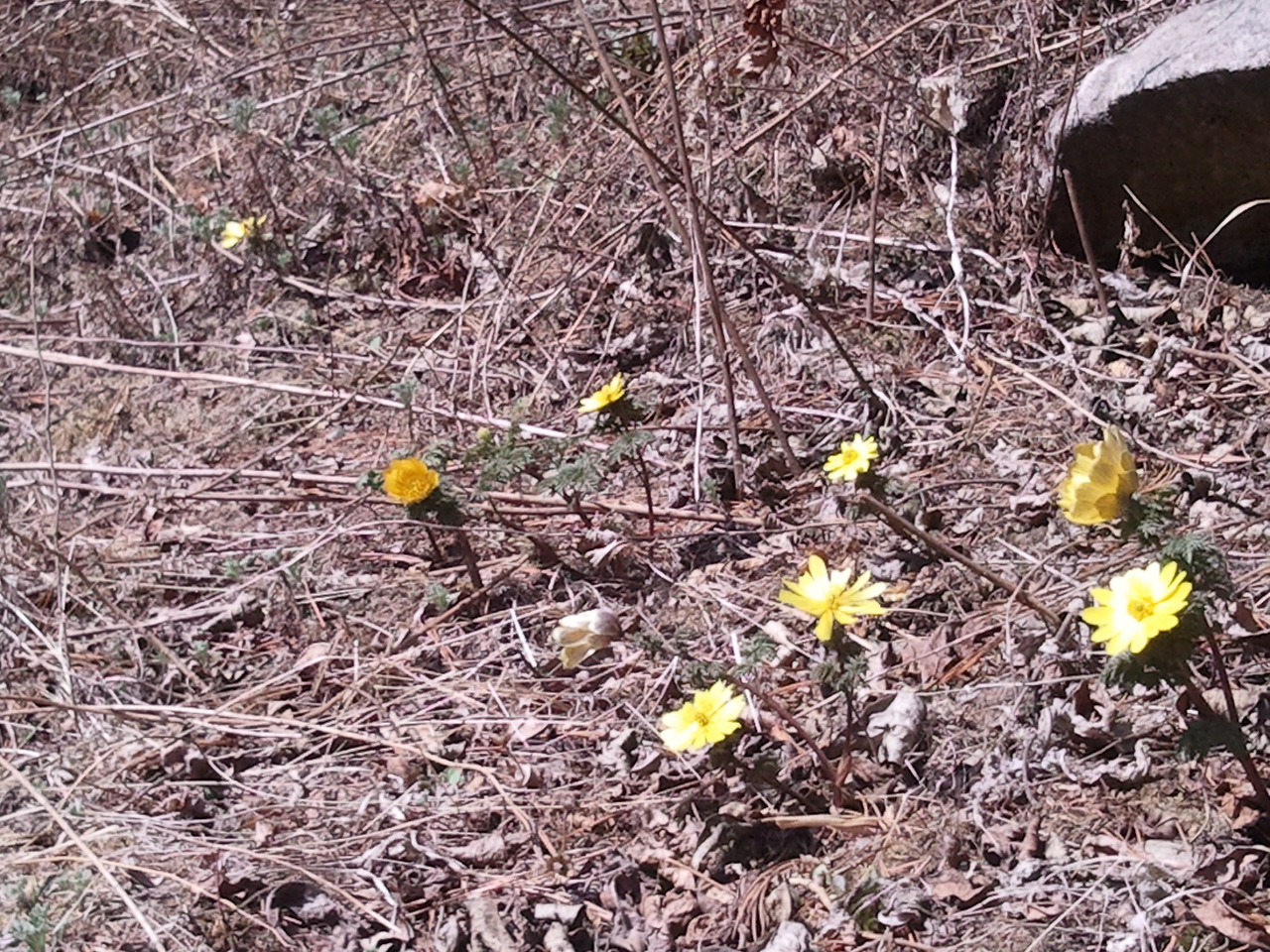 2012-04-01 11.04.50.jpg