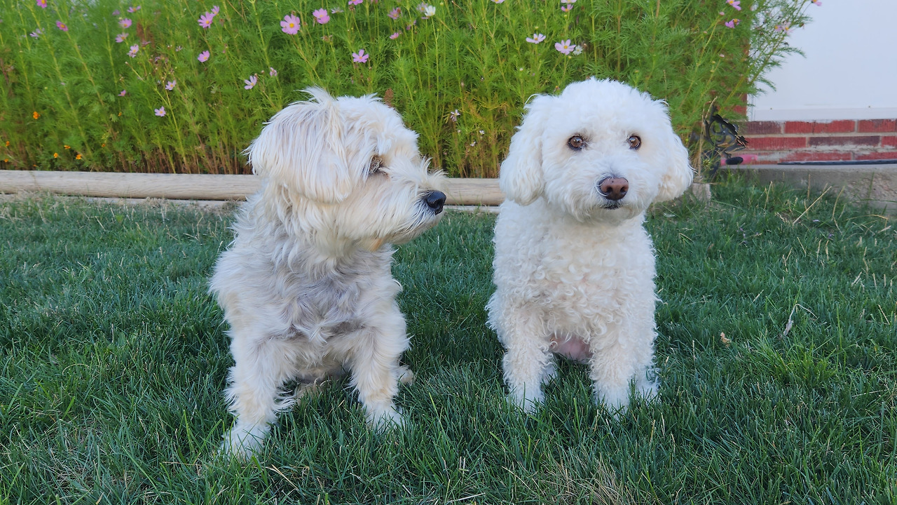 앞마당두댕이  (1).jpg