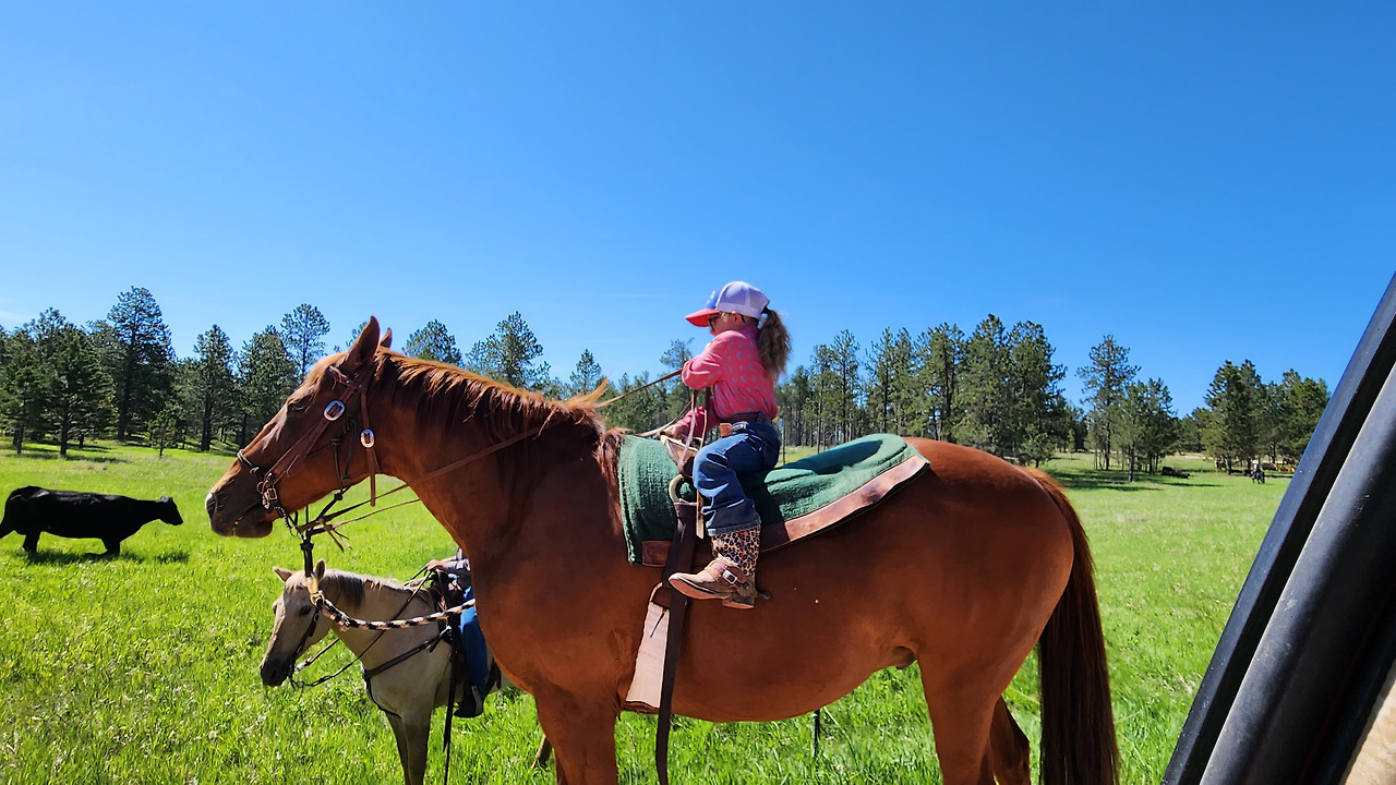 말타는 작은 소녀 .jpg