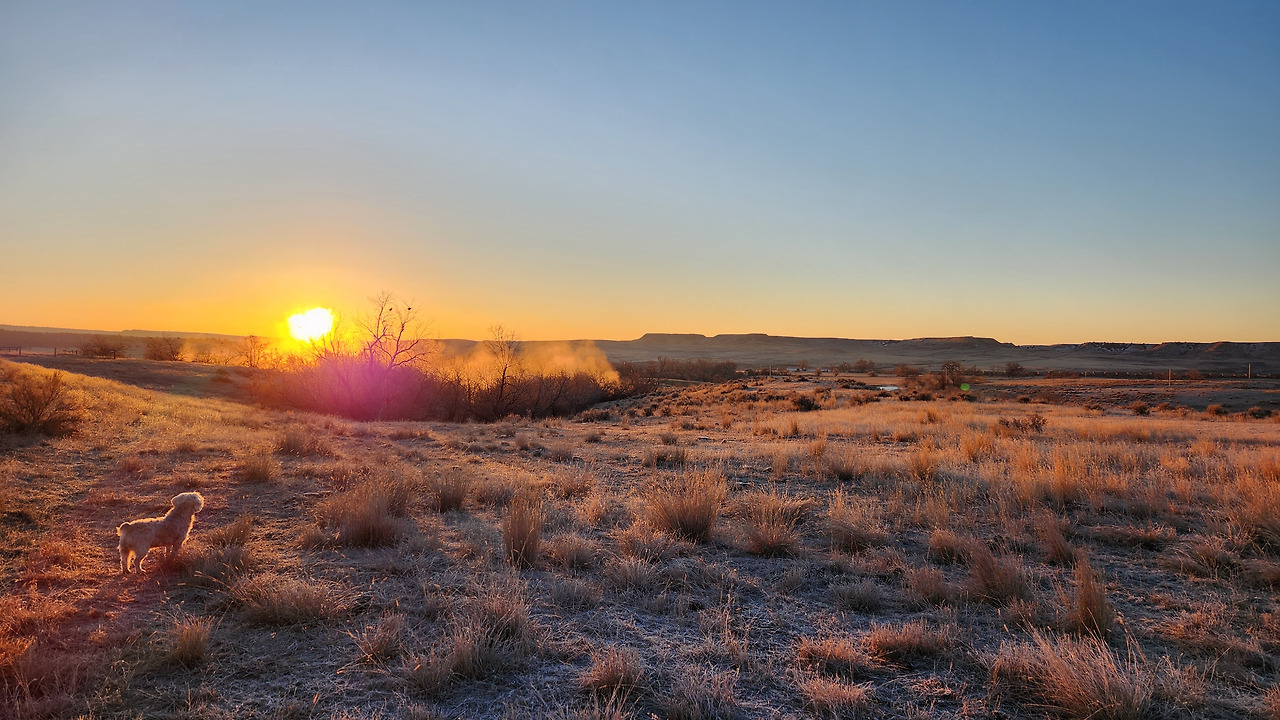 똘이 해맞이.jpg
